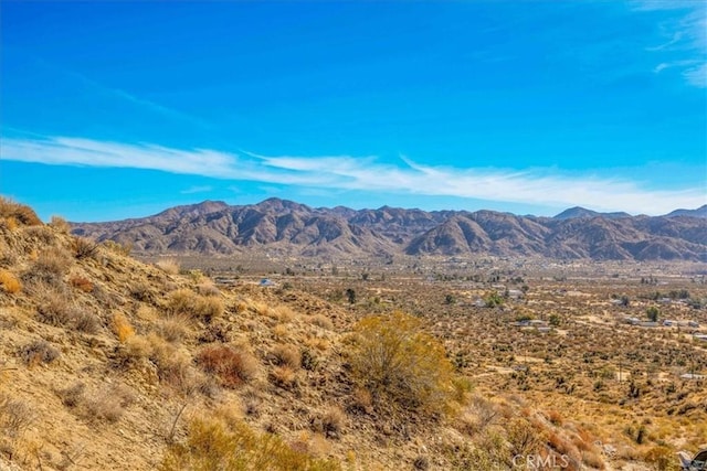8711 Sundown Trl, Morongo Valley, CA 92256 - photo 42
