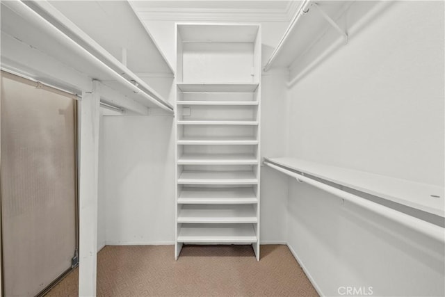 12355 Chandler Blvd Unit 101, Valley Village, CA 91607 - spacious closet featuring carpet floors