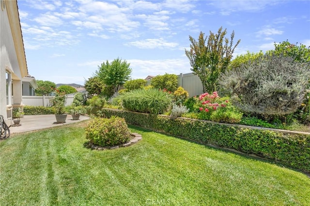 1790 N Forest Oaks Dr, Beaumont, CA 92223 - fenced backyard with a patio area