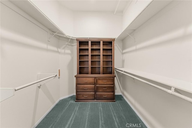 1790 N Forest Oaks Dr, Beaumont, CA 92223 - spacious closet with dark carpet