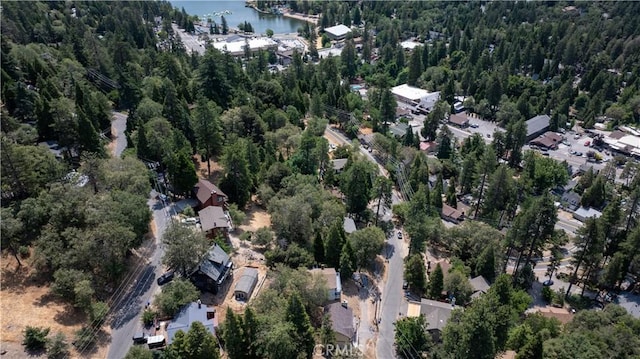 23930 Zuger Dr, Crestline, CA 92325 - photo 5
