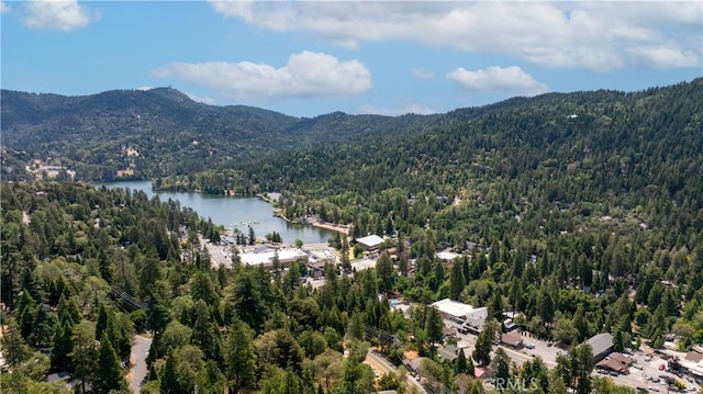 23930 Zuger Dr, Crestline, CA 92325 - photo 6