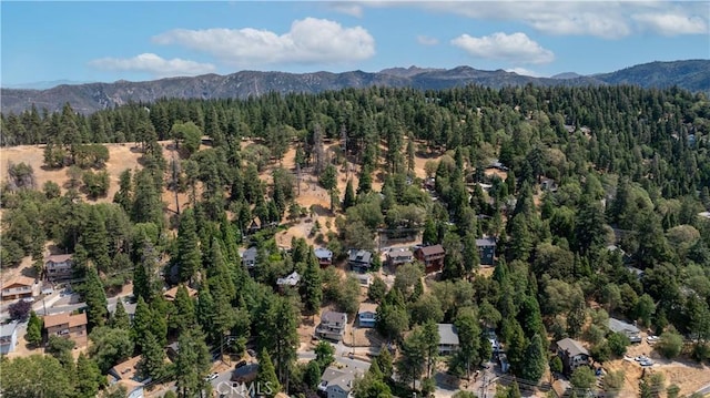 23930 Zuger Dr, Crestline, CA 92325 - photo 4