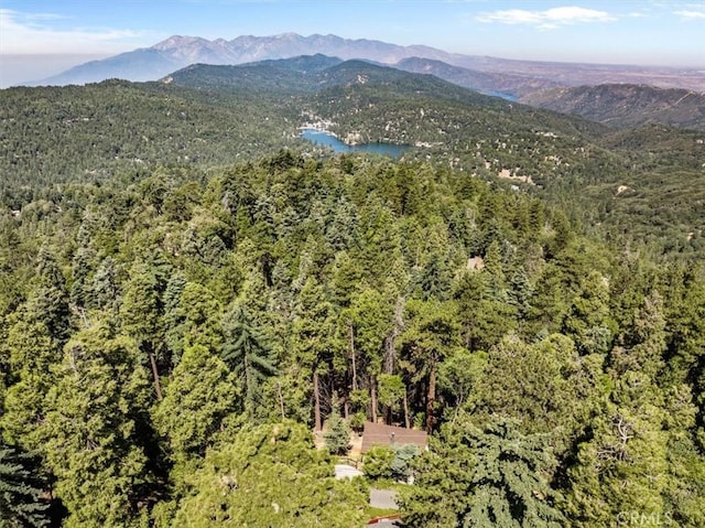 25576 Hi Ln, Twin Peaks, CA 92391 - photo 5