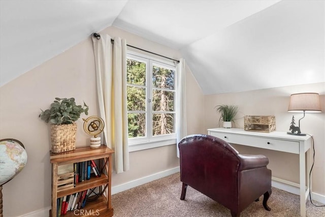 25576 Hi Ln, Twin Peaks, CA 92391 - photo 24