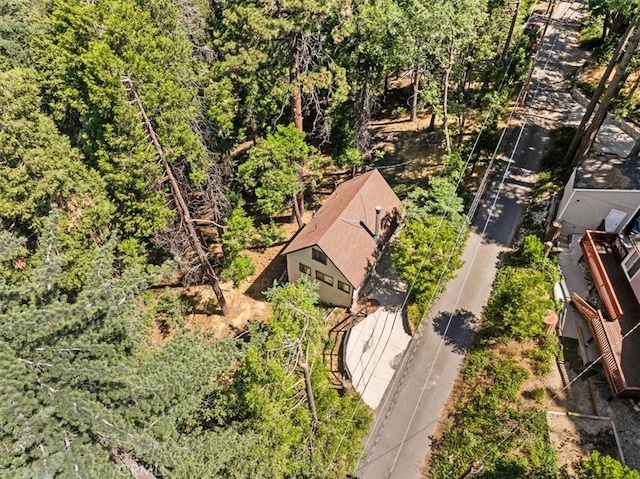 25576 Hi Ln, Twin Peaks, CA 92391 - photo 4