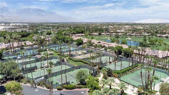 314 Appaloosa Way, Palm Desert, CA 92211 - photo 40