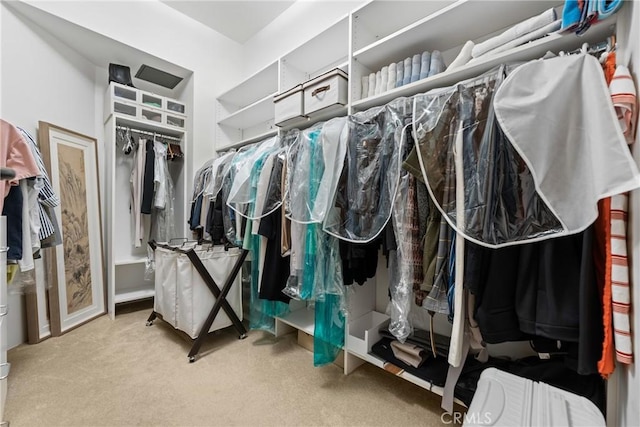 411 N Oakhurst Dr Unit 201, Beverly Hills, CA 90210 - spacious closet with carpet flooring