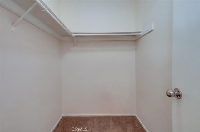 7302 Bright Ave Unit B, Whittier, CA 90602 - walk in closet with carpet flooring