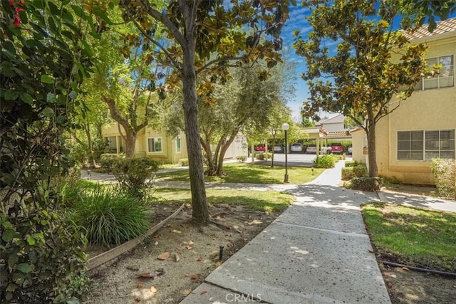 4201 Las Virgenes Rd Unit 115, Calabasas, CA 91302 - photo 20