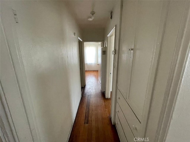 11250 Victory Blvd, North Hollywood, CA 91606 - hallway with dark wood finished floors