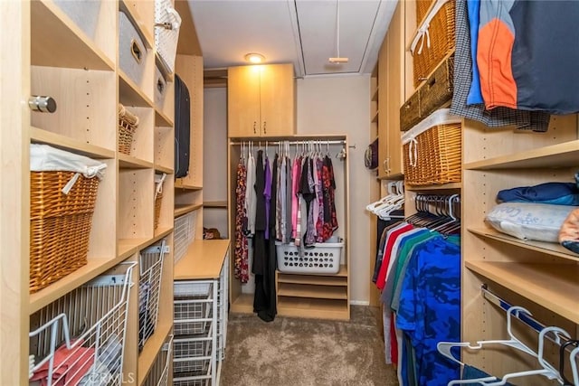23130 Yvette Ln, Valencia, CA 91355 - walk in closet with carpet flooring and attic access