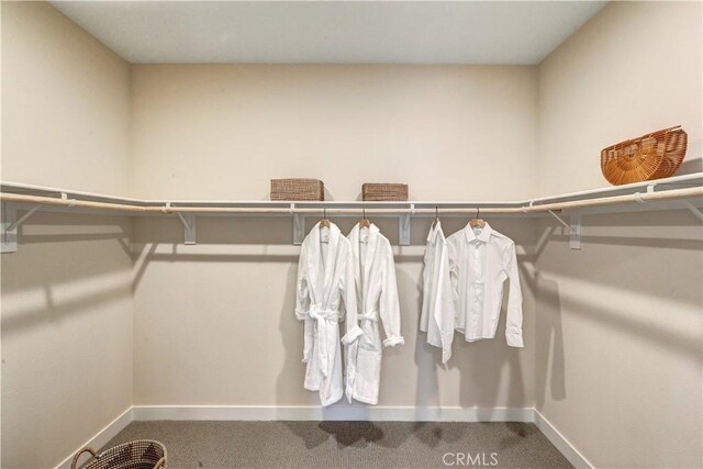17163 Kent St, Hesperia, CA 92345 - walk in closet featuring carpet