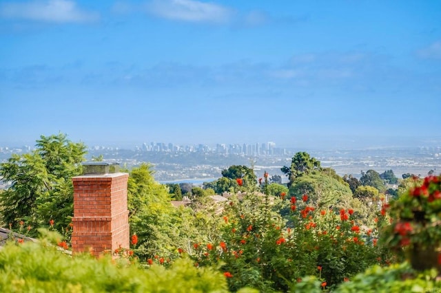 6815 La Jolla Scenic Dr, La Jolla, CA 92037 - view of yard