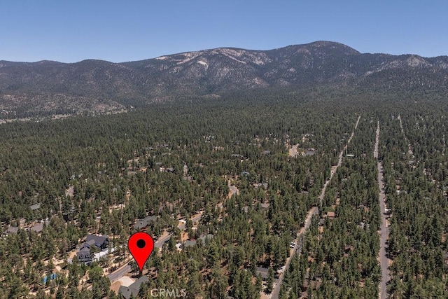 625 Cedar Glen Dr, Big Bear City, CA 92314 - photo 6