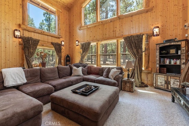 625 Cedar Glen Dr, Big Bear City, CA 92314 - photo 10