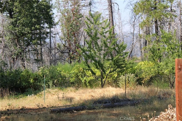 65 Starcrest Ln, Berry Creek, CA 95916 - photo 19
