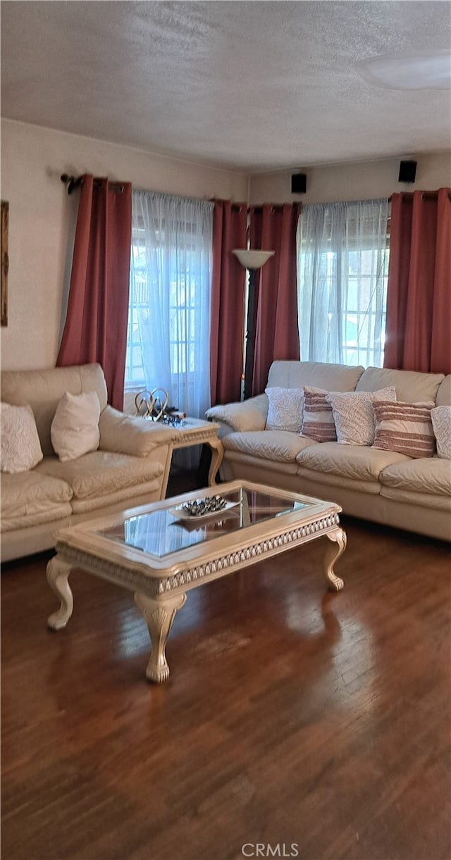 1605 S Birch St, Santa Ana, CA 92707 - living room with wood finished floors and a textured ceiling