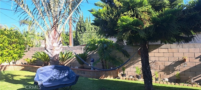 1605 S Birch St, Santa Ana, CA 92707 - view of yard