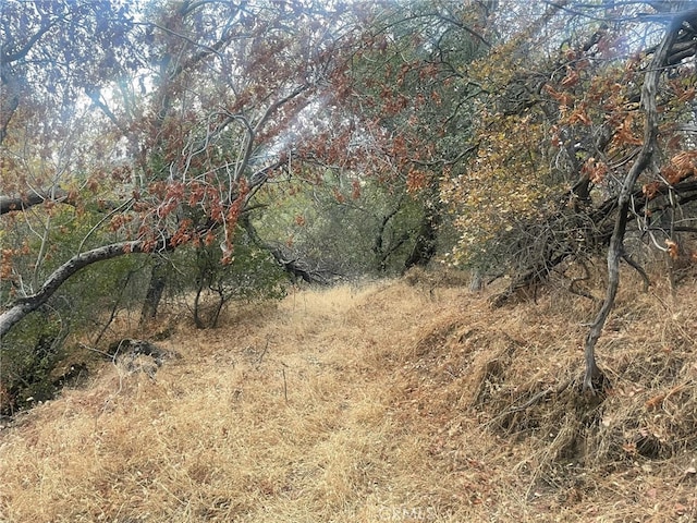 43020 Apache Ranch Rd, Ahwahnee, CA 93601