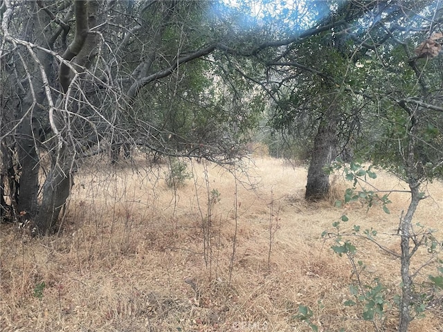 43020 Apache Ranch Rd, Ahwahnee, CA 93601