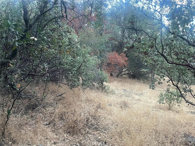 43020 Apache Ranch Rd, Ahwahnee, CA 93601