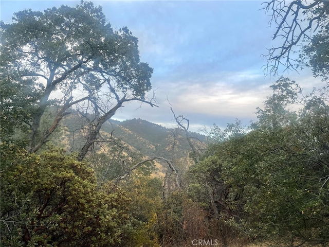 43020 Apache Ranch Rd, Ahwahnee, CA 93601