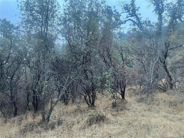 43020 Apache Ranch Rd, Ahwahnee, CA 93601