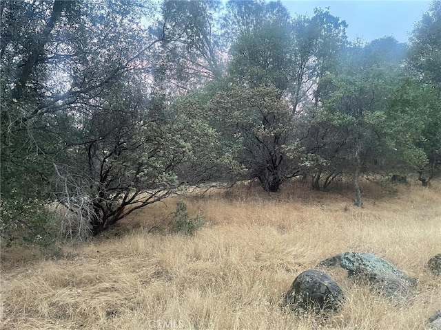 43020 Apache Ranch Rd, Ahwahnee, CA 93601