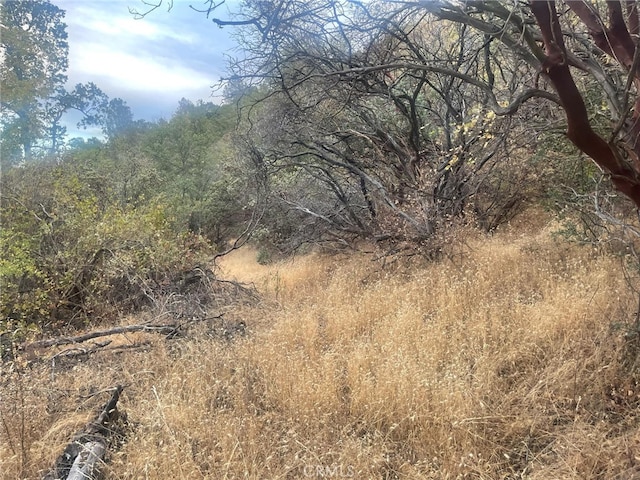 43020 Apache Ranch Rd, Ahwahnee, CA 93601