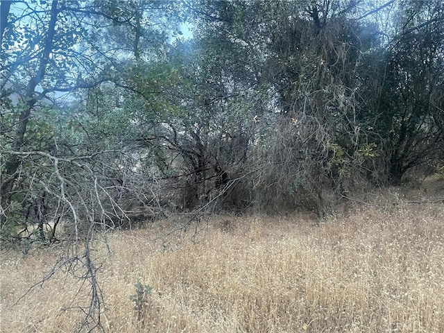 43020 Apache Ranch Rd, Ahwahnee, CA 93601