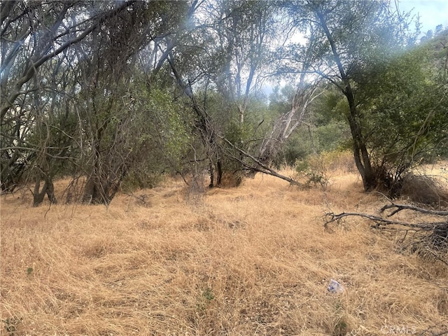 43020 Apache Ranch Rd, Ahwahnee, CA 93601