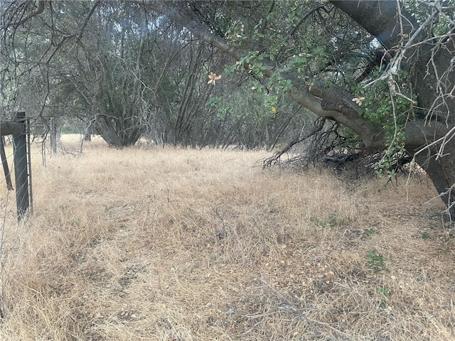 43020 Apache Ranch Rd, Ahwahnee, CA 93601