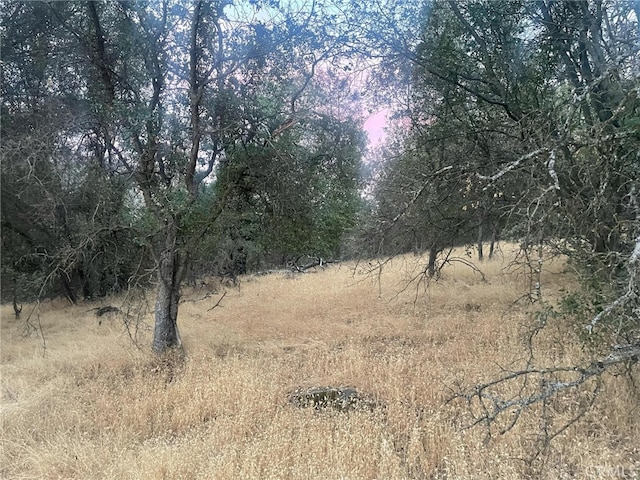 43020 Apache Ranch Rd, Ahwahnee, CA 93601