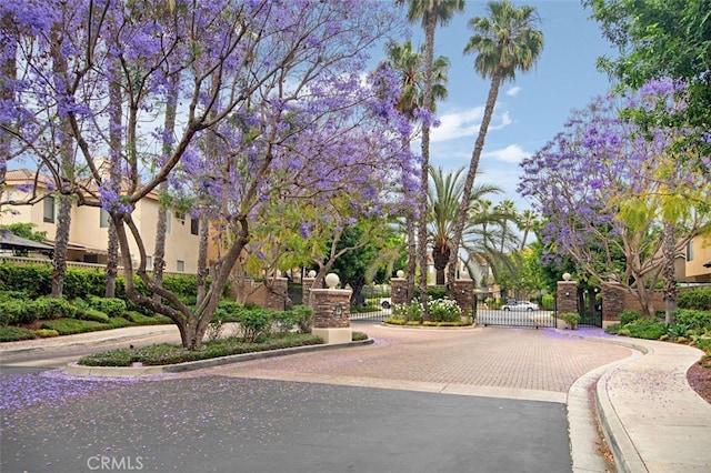 12 Seven Kings, Aliso Viejo, CA 92656 - photo 40