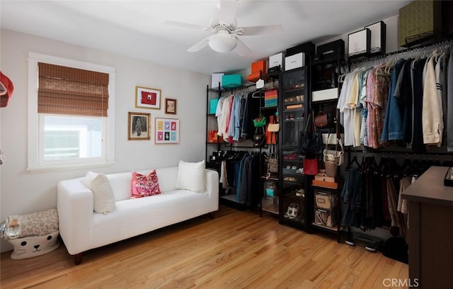 31907 9th Ave, Laguna Beach, CA 92651 - walk in closet featuring light wood finished floors and ceiling fan