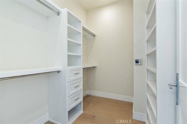 109 Buckskin Rd, Bell Canyon, CA 91307 - walk in closet with light wood-type flooring