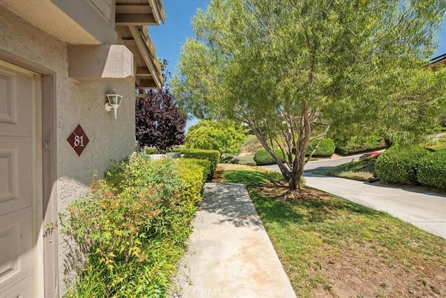 81 Via Larga Vis, Bonsall, CA 92003 - view of yard