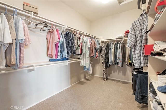 81 Via Larga Vis, Bonsall, CA 92003 - spacious closet with carpet flooring