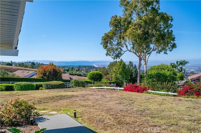 13 Buggy Whip Dr, Rolling Hills, CA 90274 - view of green lawn