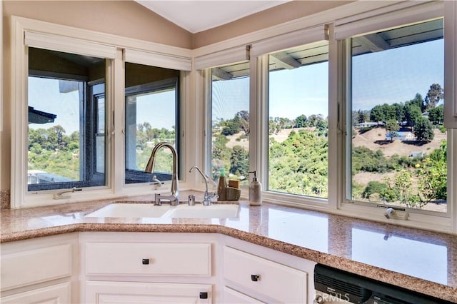 13 Buggy Whip Dr, Rolling Hills, CA 90274 - kitchen featuring dishwasher, lofted ceiling, plenty of natural light, and white cabinets