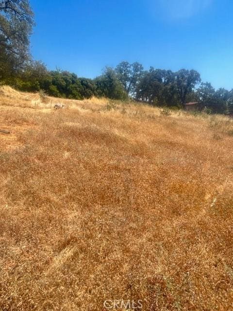 140 Loma Vis, Oroville, CA 95966 - photo 9