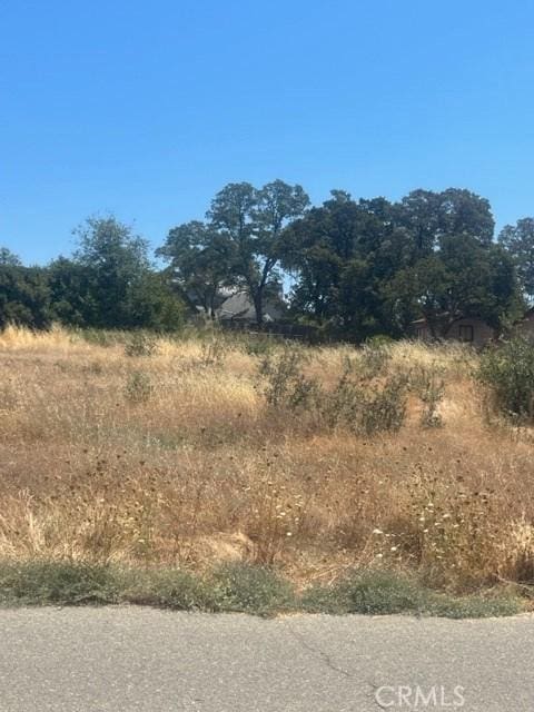 140 Loma Vis, Oroville, CA 95966 - photo 11