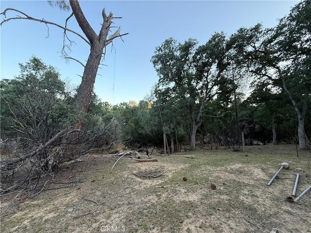 16812 Stagecoach Rd, Corning, CA 96021 - photo 12