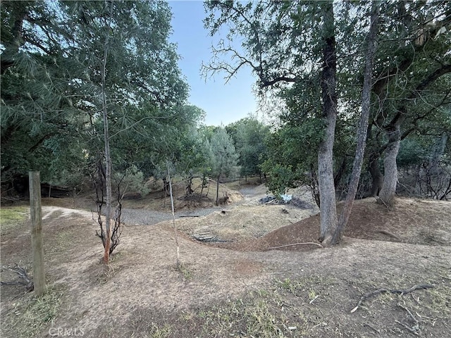 16812 Stagecoach Rd, Corning, CA 96021 - photo 9