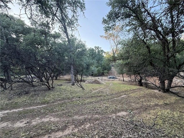 16812 Stagecoach Rd, Corning, CA 96021 - photo 8