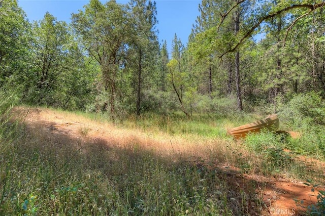12896 Rices Crossing Rd, Oregon House, CA 95962 - photo 65