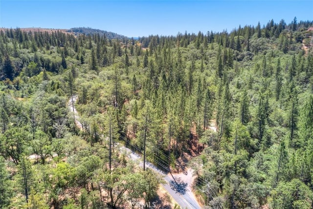 12896 Rices Crossing Rd, Oregon House, CA 95962 - photo 66