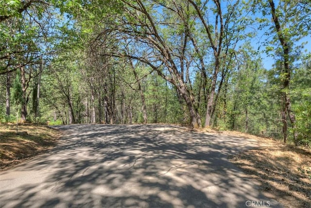 12896 Rices Crossing Rd, Oregon House, CA 95962 - photo 59