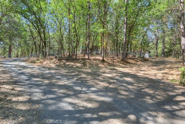 12896 Rices Crossing Rd, Oregon House, CA 95962 - photo 34